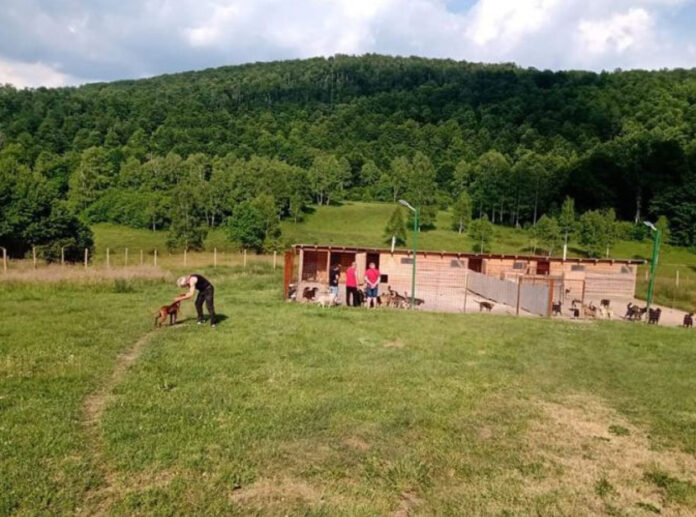 Sklonište za pse kao poligon za kriminalne radnje